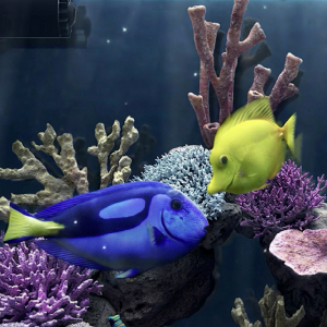 images/progetti/acquario/image02.jpg
